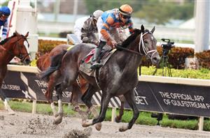 2023 Belmont Stakes Odds - Forte heads Classic betting