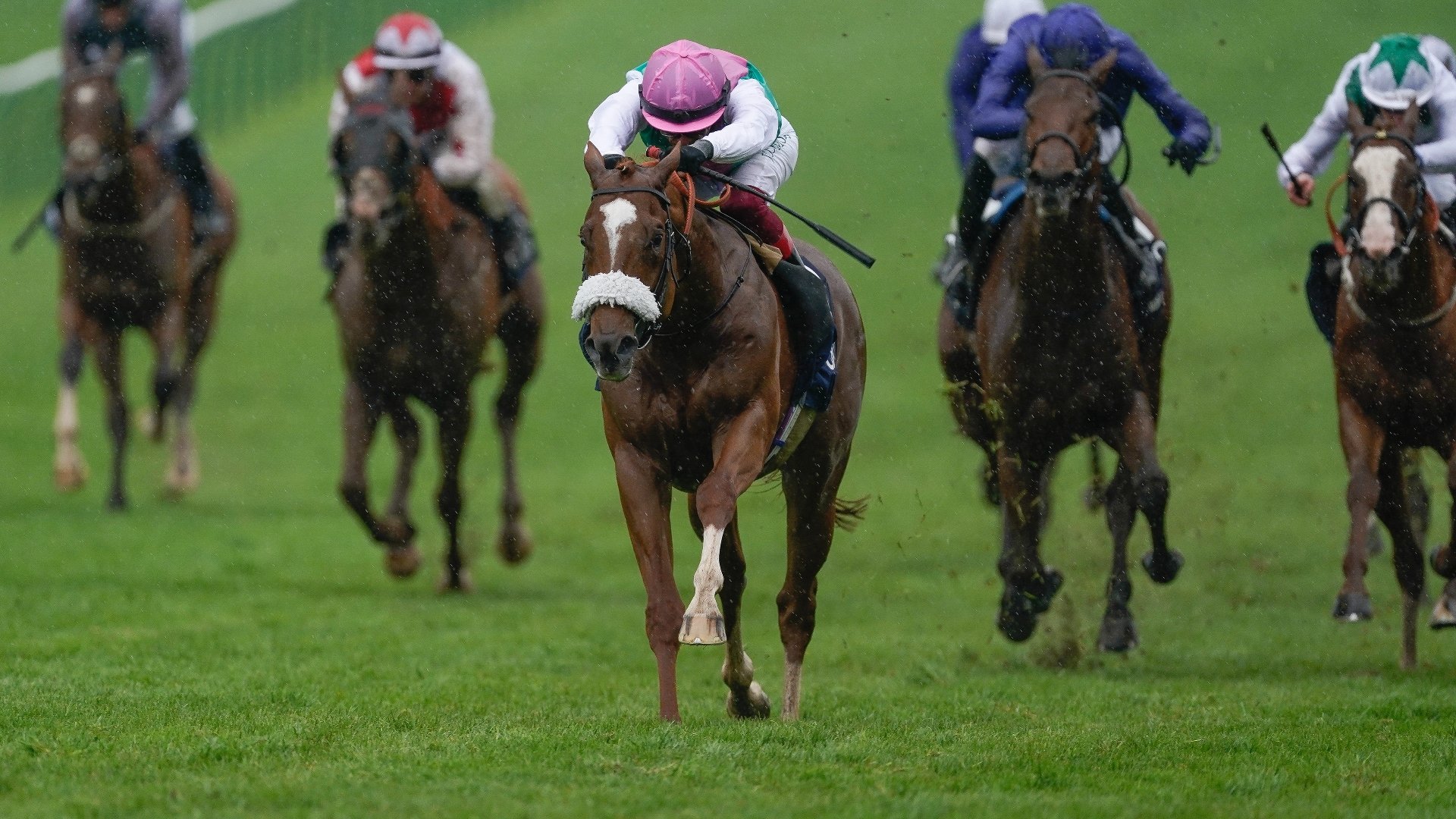 2024 2000 Guineas News Dates and vital information.