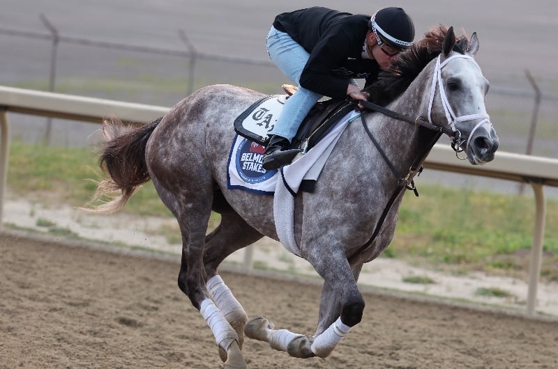 tapit trice