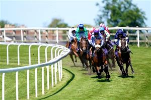 beverley races
