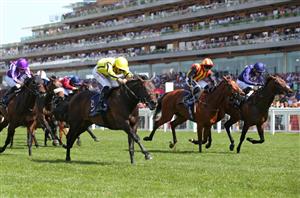 2023 Commonwealth Cup Odds - Little Big Bear favourite to claim second Group One