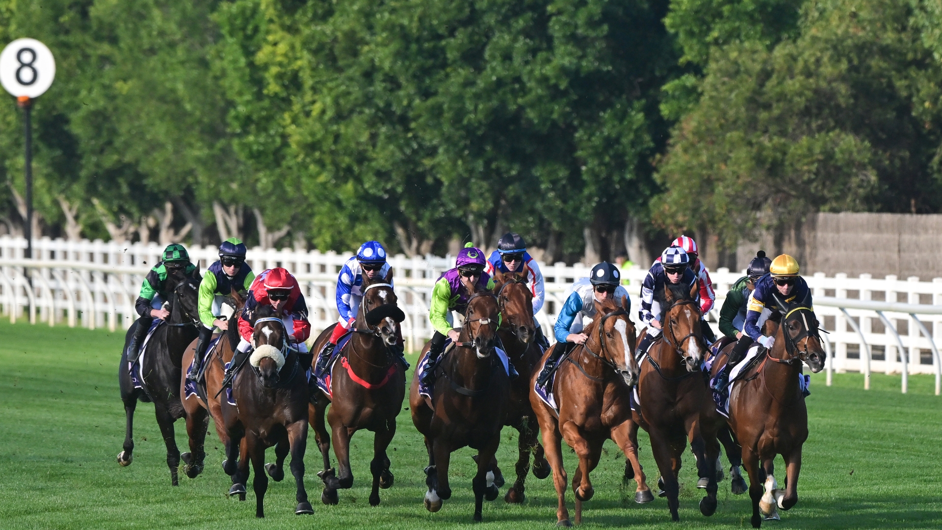 Flemington Betting Tips for June 17, 2023 RaceByRace preview for