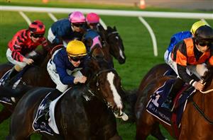 Big Bets for 17.06.2023
