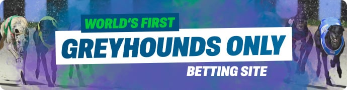 Betdogs.com.au