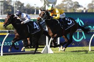 Rosehill Highlights - June 17