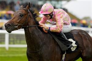 2023 St James's Palace Stakes Tips - Hills and Shoemark can upset the Classic winners