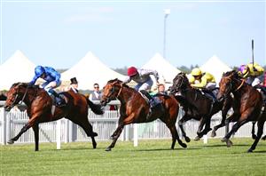 St James's Palace Live Stream - Watch the Royal Ascot race online
