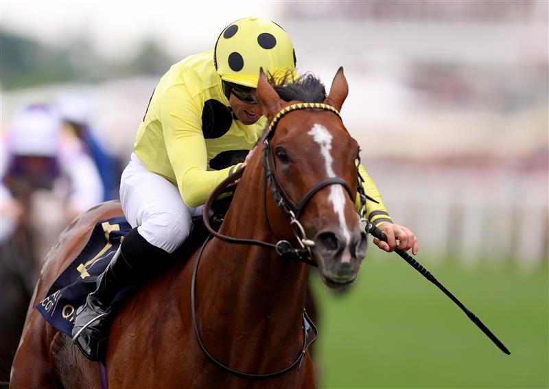 ASCOT, ENGLAND - JUNE 20: Neil Callan riding Triple Time wins The Queen Anne Stakes one day one during Royal Ascot 2023 at Ascot Racecourse on June 20, 2023 in Ascot, England. (Photo by Tom Dulat/Getty Images for Ascot Racecourse)