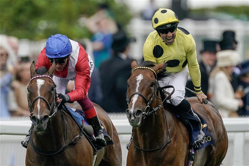 ASCOT, ENGLAND - JUNE 20: Neil Callan celebrates as he rides Triple Time to win The Queen Anne Stakes on day one during Royal Ascot 2023 at Ascot Racecourse on June 20, 2023 in Ascot, England. (Photo by Alan Crowhurst/Getty Images for Ascot Racecourse)