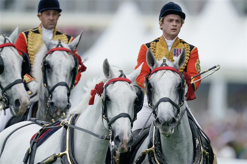 ASCOT, ENGLAND - JUNE 20: The Windsor Grey's lead the Royal procession down the course on day one during Royal Ascot 2023 at Ascot Racecourse on June 20, 2023 in Ascot, England. (Photo by Alan Crowhurst/Getty Images for Ascot Racecourse)