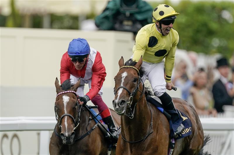 ASCOT, ENGLAND - JUNE 20: Neil Callan celebrates as he rides Triple Time to win The Queen Anne Stakes on day one during Royal Ascot 2023 at Ascot Racecourse on June 20, 2023 in Ascot, England. (Photo by Alan Crowhurst/Getty Images for Ascot Racecourse)