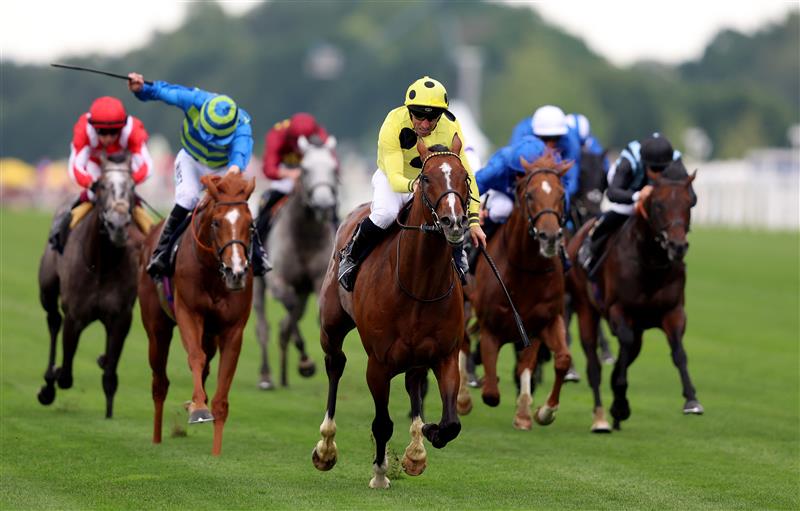 ASCOT, ENGLAND - JUNE 20: Neil Callan riding Triple Time on his way to winning The Queen Anne Stakes one day one during Royal Ascot 2023 at Ascot Racecourse on June 20, 2023 in Ascot, England. (Photo by Tom Dulat/Getty Images for Ascot Racecourse)