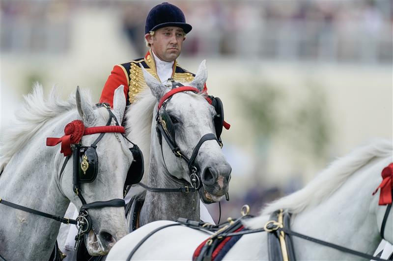 ASCOT, ENGLAND - JUNE 20: The Windsor Grey's lead the Royal procession down the course on day one during Royal Ascot 2023 at Ascot Racecourse on June 20, 2023 in Ascot, England. (Photo by Alan Crowhurst/Getty Images for Ascot Racecourse)