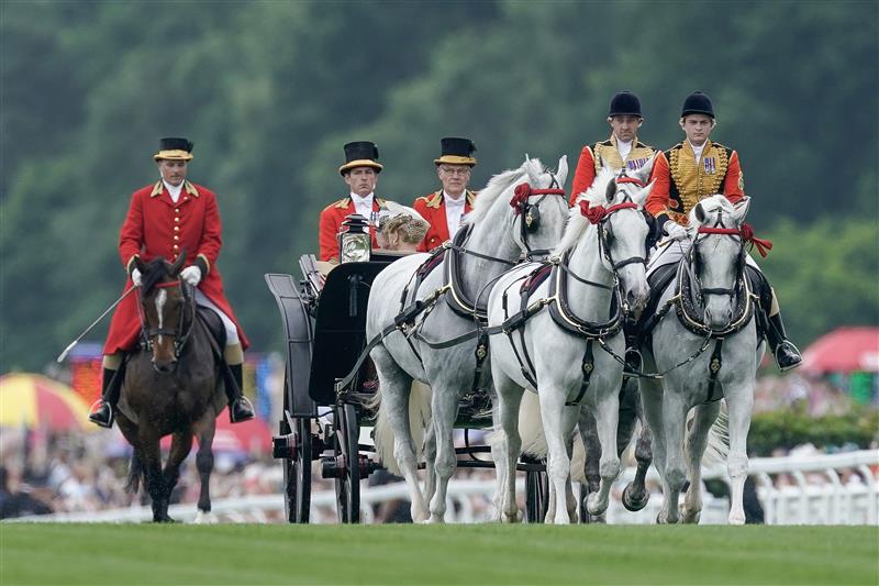 ASCOT, ENGLAND - JUNE 20: The Windsor Grey's lead the Royal procession down the course on day one during Royal Ascot 2023 at Ascot Racecourse on June 20, 2023 in Ascot, England. (Photo by Alan Crowhurst/Getty Images for Ascot Racecourse)