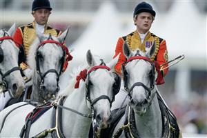 ASCOT, ENGLAND - JUNE 20: The Windsor Grey's lead the Royal procession down the course on day one during Royal Ascot 2023 at Ascot Racecourse on June 20, 2023 in Ascot, England. (Photo by Alan Crowhurst/Getty Images for Ascot Racecourse)