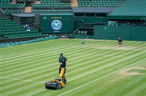 Mastering Grass Court Tennis Betting: A Comprehensive Guide