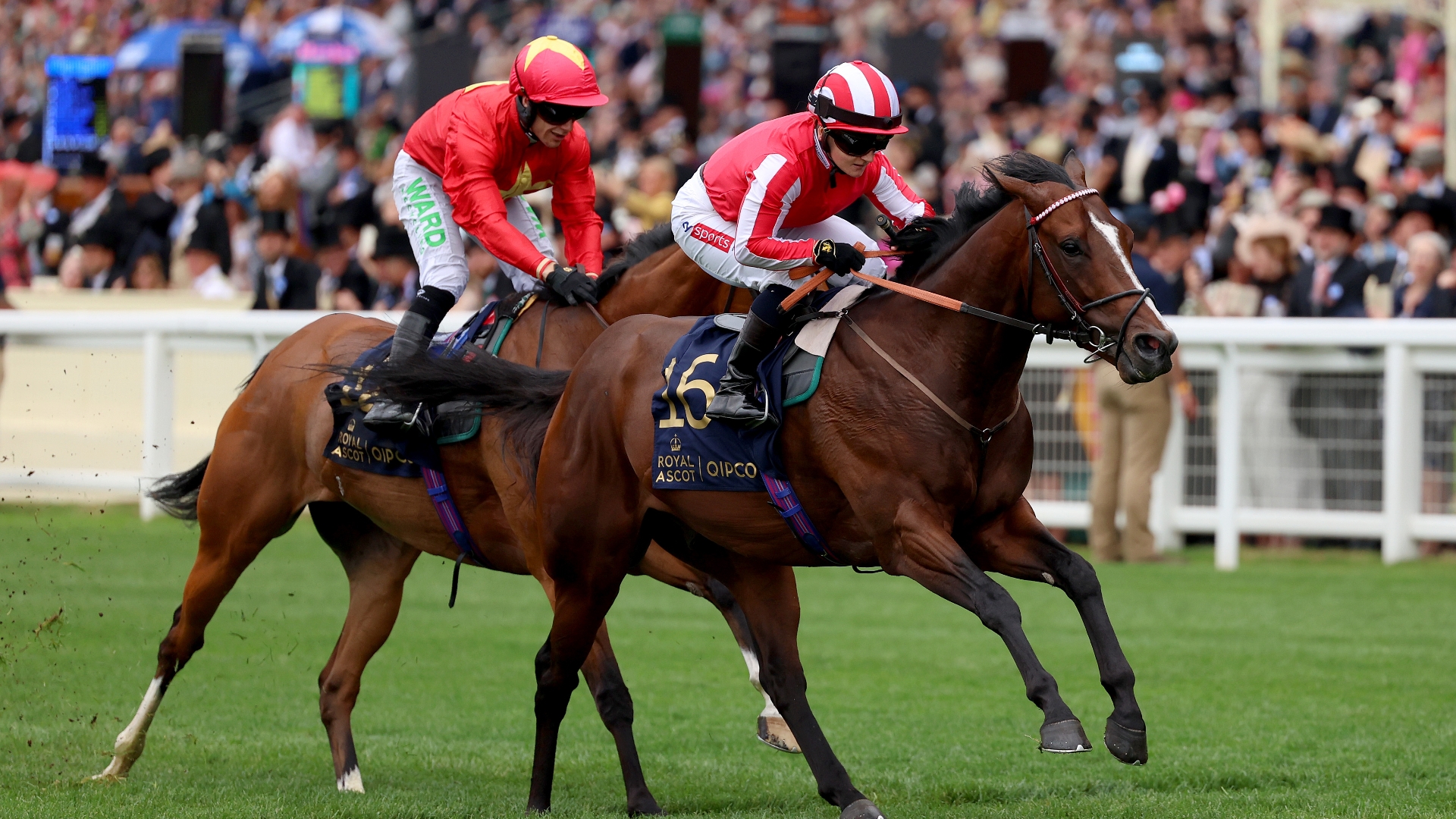 2024 King's Stand Stakes News Dates and vital information.