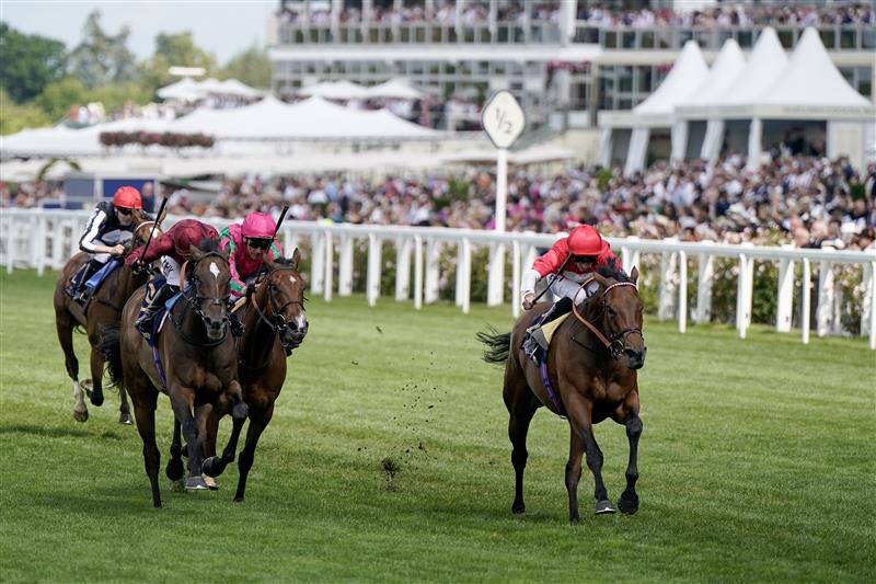 ASCOT, ENGLAND - JUNE 21: Daniel Tudhope riding Rogue Millennium (R) win The Duke Of Cambridge Stakes on day two during Royal Ascot 2023 at Ascot Racecourse on June 21, 2023 in Ascot, England. (Photo by Alan Crowhurst/Getty Images for Ascot Racecourse)