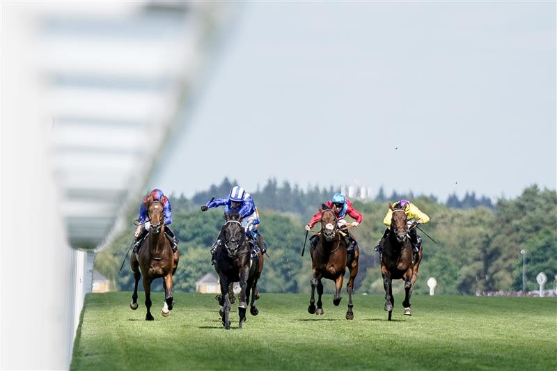 ASCOT, ENGLAND - JUNE 21: Jim Crowley riding Mostahdaf (blue/white) win The Prince Of Wales's Stakes on day two during Royal Ascot 2023 at Ascot Racecourse on June 21, 2023 in Ascot, England. (Photo by Alan Crowhurst/Getty Images for Ascot Racecourse)