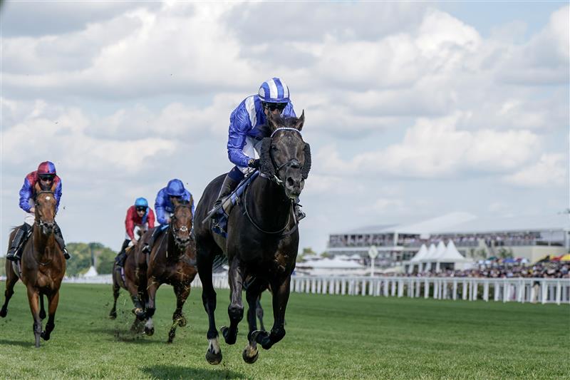 ASCOT, ENGLAND - JUNE 21: Jim Crowley riding Mostahdaf (blue/white) win The Prince Of Wales's Stakes on day two during Royal Ascot 2023 at Ascot Racecourse on June 21, 2023 in Ascot, England. (Photo by Alan Crowhurst/Getty Images for Ascot Racecourse)