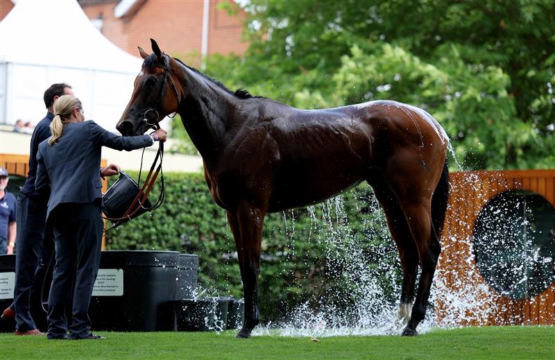 ASCOT, ENGLAND - JUNE 21: General view on day two during Royal Ascot 2023 at Ascot Racecourse on June 21, 2023 in Ascot, England. (Photo by Tom Dulat/Getty Images for Ascot Racecourse)