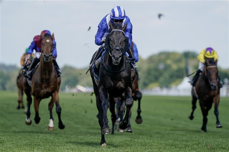 ASCOT, ENGLAND - JUNE 21: Jim Crowley riding Mostahdaf (blue/white) win The Prince Of Wales's Stakes on day two during Royal Ascot 2023 at Ascot Racecourse on June 21, 2023 in Ascot, England. (Photo by Alan Crowhurst/Getty Images for Ascot Racecourse)