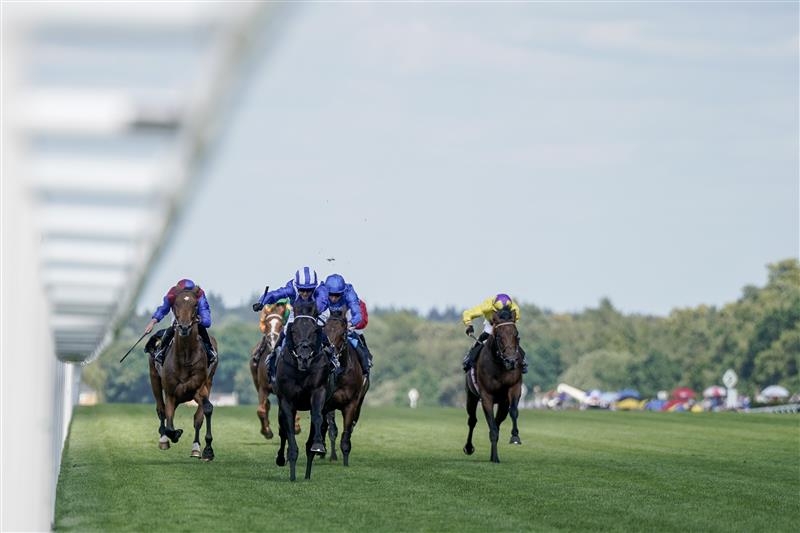 ASCOT, ENGLAND - JUNE 21: Jim Crowley riding Mostahdaf (blue/white) win The Prince Of Wales's Stakes on day two during Royal Ascot 2023 at Ascot Racecourse on June 21, 2023 in Ascot, England. (Photo by Alan Crowhurst/Getty Images for Ascot Racecourse)