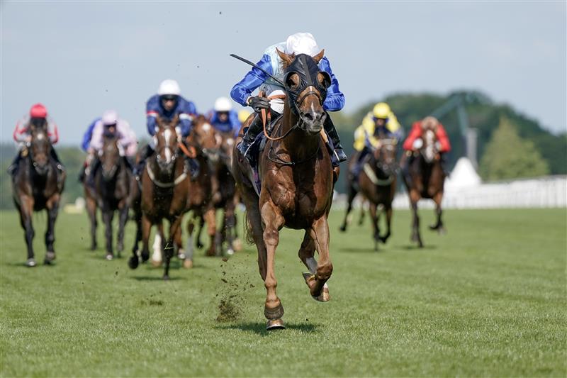 ASCOT, ENGLAND - JUNE 21: Rossa Ryan riding Jimi Hendrix win The Royal Hunt Cup on day two during Royal Ascot 2023 at Ascot Racecourse on June 21, 2023 in Ascot, England. (Photo by Alan Crowhurst/Getty Images for Ascot Racecourse)