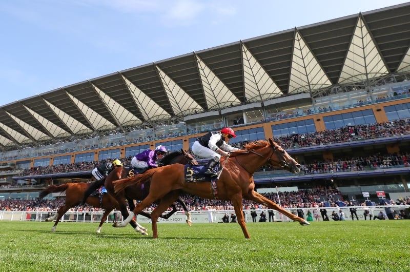Ascot Gold Cup Live Stream Watch the Royal Ascot race online