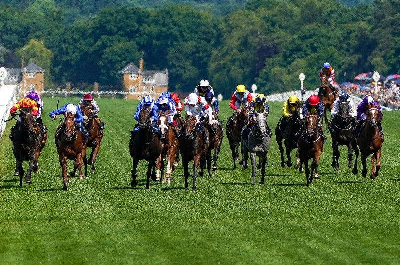Royal Ascot 2023 Tips All seven races covered on day three