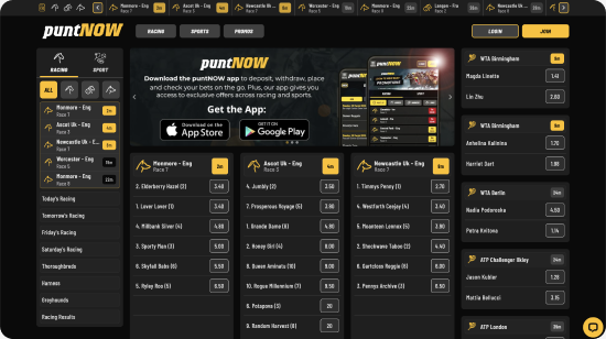 PuntNow