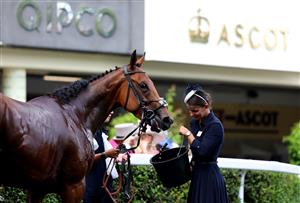 ASCOT, ENGLAND - JUNE 21: General view on day two during Royal Ascot 2023 at Ascot Racecourse on June 21, 2023 in Ascot, England. (Photo by Tom Dulat/Getty Images for Ascot Racecourse)