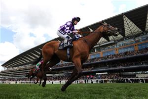 ASCOT, ENGLAND - JUNE 21: Divine Light ridden by Daniel Muscutt crosses the line in the Kensington Palace Stakes during day two of Royal Ascot 2023 at Ascot Racecourse on June 21, 2023 in Ascot, England. (Photo by Alex Pantling/Getty Images)