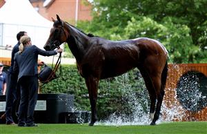 ASCOT, ENGLAND - JUNE 21: General view on day two during Royal Ascot 2023 at Ascot Racecourse on June 21, 2023 in Ascot, England. (Photo by Tom Dulat/Getty Images for Ascot Racecourse)
