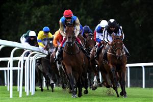 ASCOT, ENGLAND - JUNE 21: Gregory ridden by Frankie Dettori on the way to winning The Queens Vase during day two of Royal Ascot 2023 at Ascot Racecourse on June 21, 2023 in Ascot, England. (Photo by Alex Pantling/Getty Images)