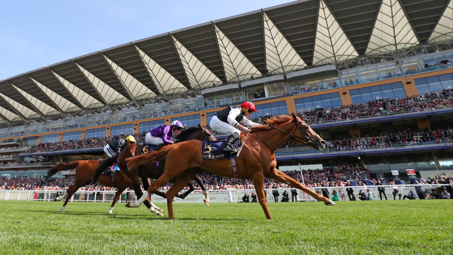 Ascot Gold Cup 2025 Tickets Carrie Augusta