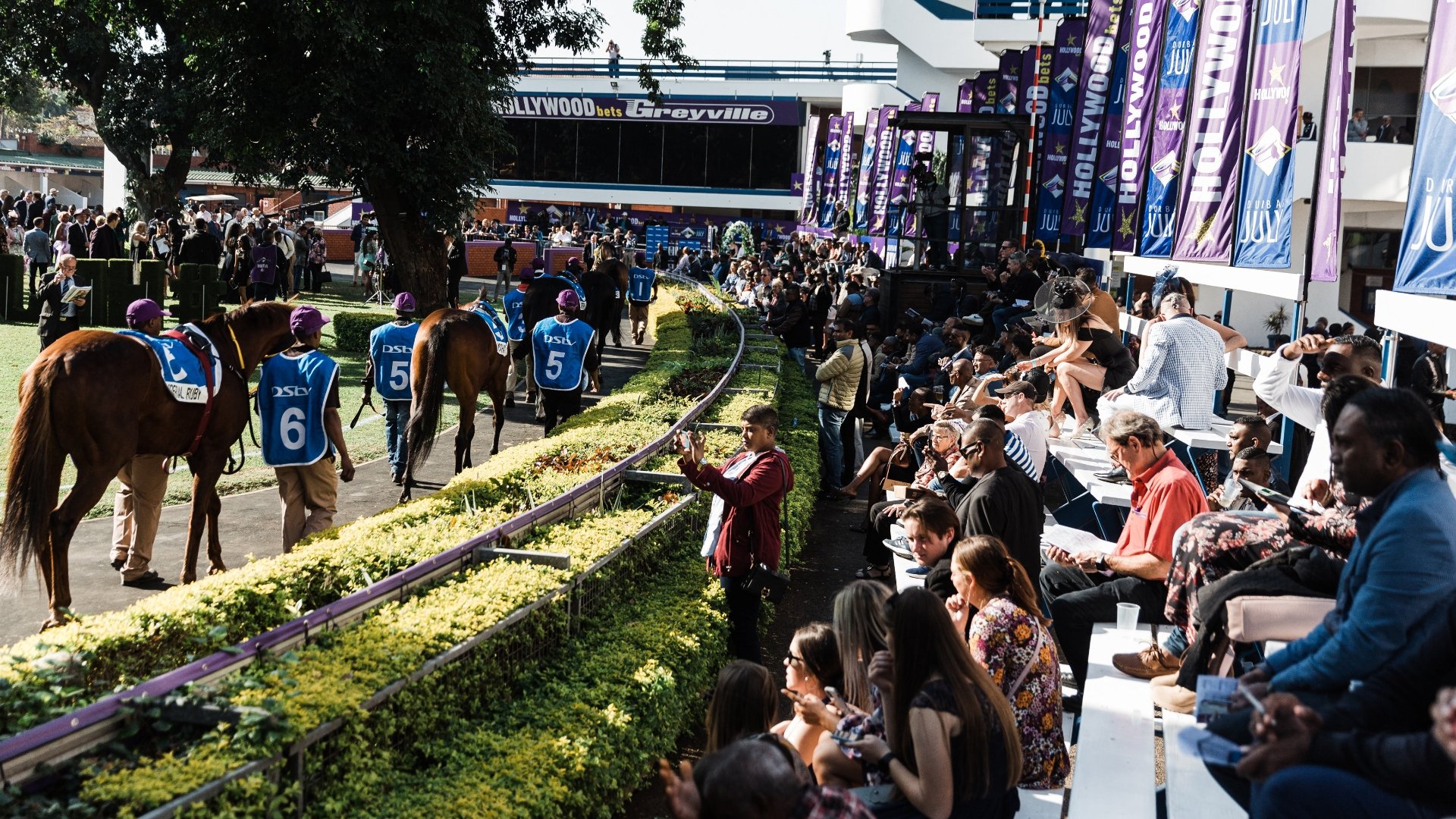 2023 Durban July Final Field and Draw Trip Of Fortune tops Greyville