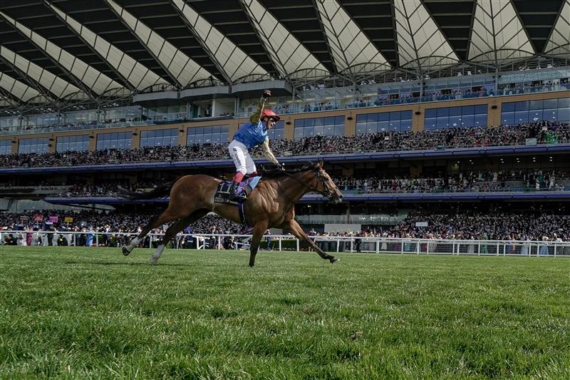 ASCOT, ENGLAND - JUNE 22: Frankie Dettori celebrates as he rides Courage Mon Ami to victory In The Gold Cup on day three during Royal Ascot 2023 at Ascot Racecourse on June 22, 2023 in Ascot, England. (Photo by Alan Crowhurst/Getty Images for Ascot Racecourse)
