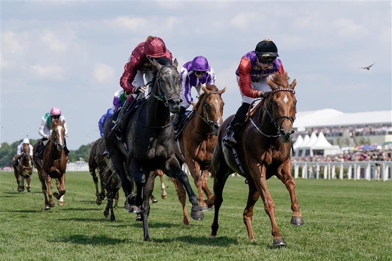ASCOT, ENGLAND - JUNE 22: Tom Marquand riding Desert Hero (red sleeves, black cap) win The King George V Stakes on day three during Royal Ascot 2023 at Ascot Racecourse on June 22, 2023 in Ascot, England. (Photo by Alan Crowhurst/Getty Images for Ascot Racecourse)