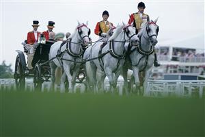 ASCOT, ENGLAND - JUNE 22: The royal procession make their way down the course on day three during Royal Ascot 2023 at Ascot Racecourse on June 22, 2023 in Ascot, England. (Photo by Alan Crowhurst/Getty Images for Ascot Racecourse)