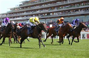 Commonwealth Cup Live Stream - Watch the Royal Ascot race online