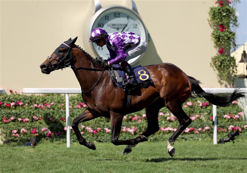 ASCOT, ENGLAND - JUNE 23:  Oisin Murphy riding Shaquille win The Commonwealth Cup on day four during Royal Ascot 2023 at Ascot Racecourse on June 23, 2023 in Ascot, England. (Photo by Tom Dulat/Getty Images for Ascot Racecourse)