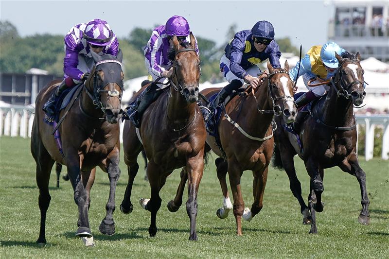 ASCOT, ENGLAND - JUNE 23: Oisin Murphy riding Shaquille (purple/white diamonds) win The Commonwealth Cup on day four during Royal Ascot 2023 at Ascot Racecourse on June 23, 2023 in Ascot, England. (Photo by Alan Crowhurst/Getty Images for Ascot Racecourse)