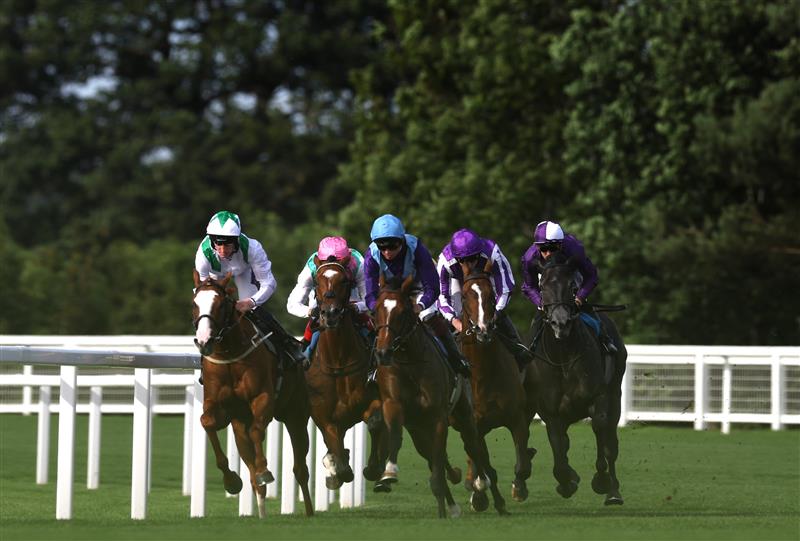 ASCOT, ENGLAND - JUNE 23: Runners and riders in The King Edwards VII Stakes during day four of Royal Ascot 2023 at Ascot Racecourse on June 23, 2023 in Ascot, England. (Photo by Alex Pantling/Getty Images)