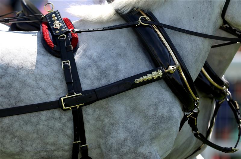 ASCOT, ENGLAND - JUNE 23:  Detail on a Windsor Grey on day four during Royal Ascot 2023 at Ascot Racecourse on June 23, 2023 in Ascot, England. (Photo by Tom Dulat/Getty Images for Ascot Racecourse)
