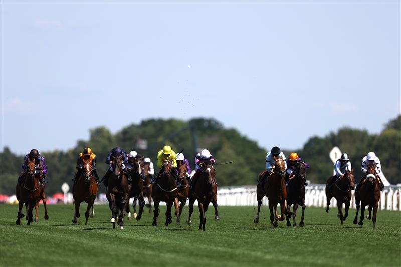 ASCOT, ENGLAND - JUNE 23: Runners and riders in The Albany Stakes during day four of Royal Ascot 2023 at Ascot Racecourse on June 23, 2023 in Ascot, England. (Photo by Alex Pantling/Getty Images)