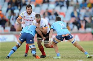 Cheetahs vs Pumas Predictions - Cheetahs to be crowned Currie Cup champs
