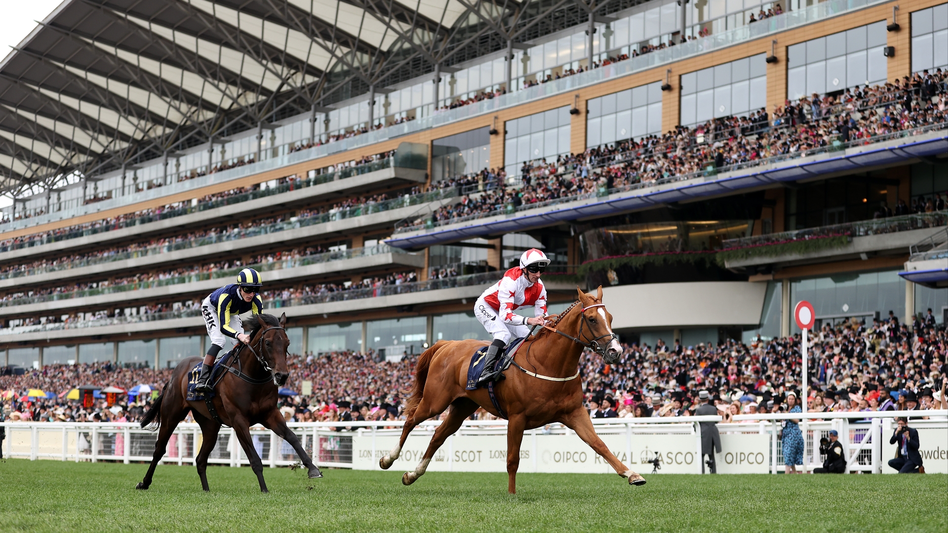 Seven Races Royal Ascot 2023 Tips | All seven races covered on day five