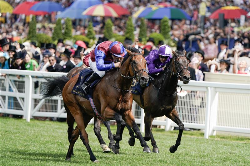 ASCOT, ENGLAND - JUNE 24: Wayne Lordan riding Ace Of Kings (blue/maroon) win The Jersey Stakes on day five during Royal Ascot 2023 at Ascot Racecourse on June 24, 2023 in Ascot, England. (Photo by Alan Crowhurst/Getty Images for Ascot Racecourse)