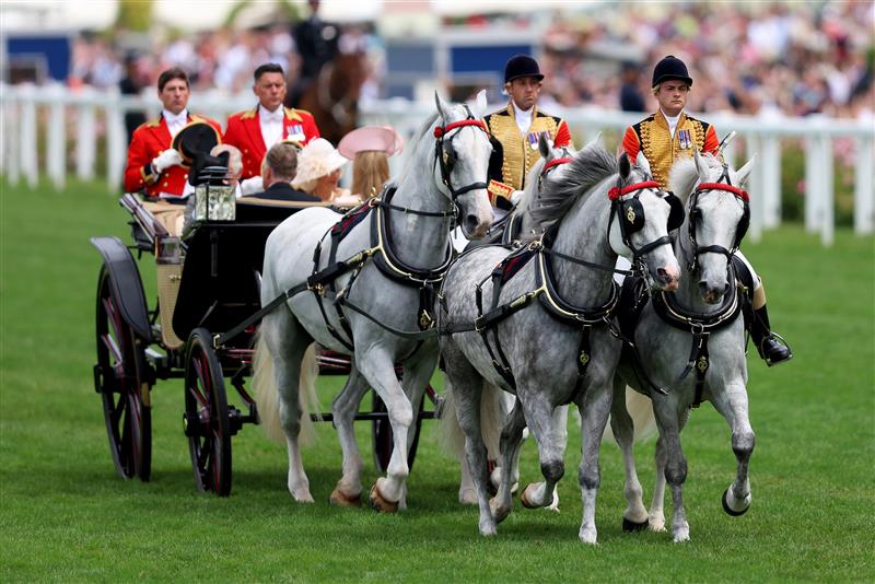 ASCOT, ENGLAND - JUNE 24: The Windsor Grey